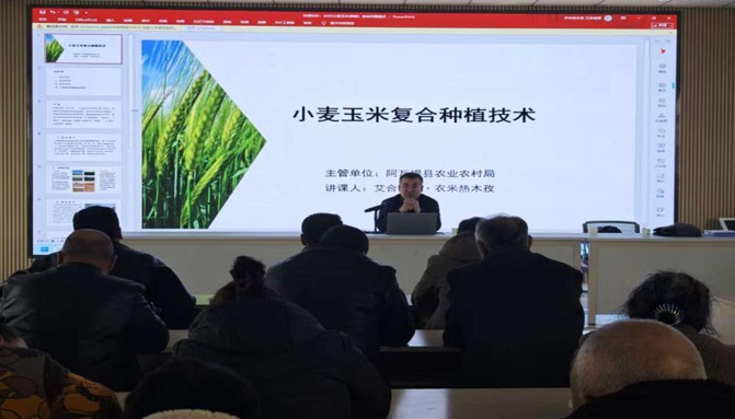 屏幕截图 2026-02-11 213445.png