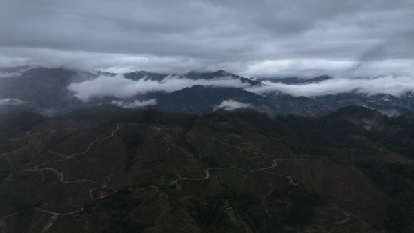 02251772010129436828.jpg DJI_20260224100830_0075_D.JPG