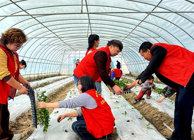 屏幕截图 2026-03-11 225214.png