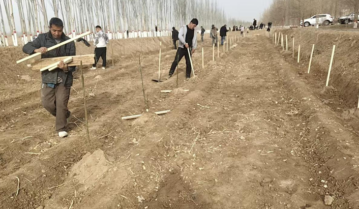 屏幕截图 2026-03-11 225223.png