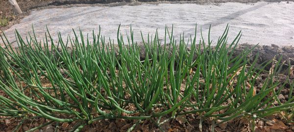IMG_20260330_105738.jpg