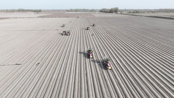 DJI_0095.MP4_20260405_144119.310.jpg