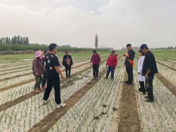 微信图片_20260427160504_10_90.jpg