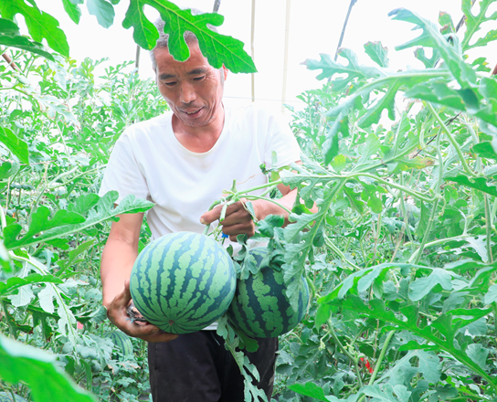 05131778665967625863.png 屏幕截图 2026-05-13 174203.png