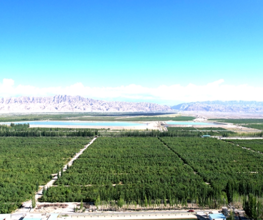 屏幕截图 2026-09-01 190055.png
