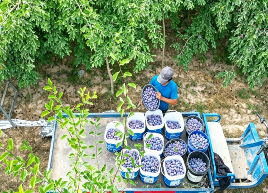 屏幕截图 2026-09-02 194856.png