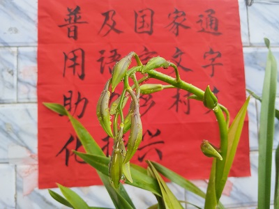 标语1_20260924094216.jpg
