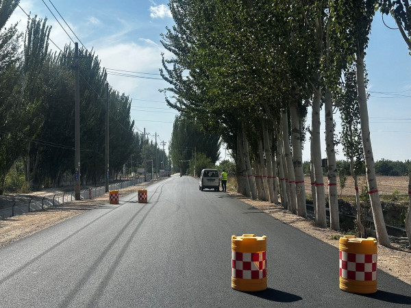09301790767827155115.png 村内道路布设防撞警示桶.png