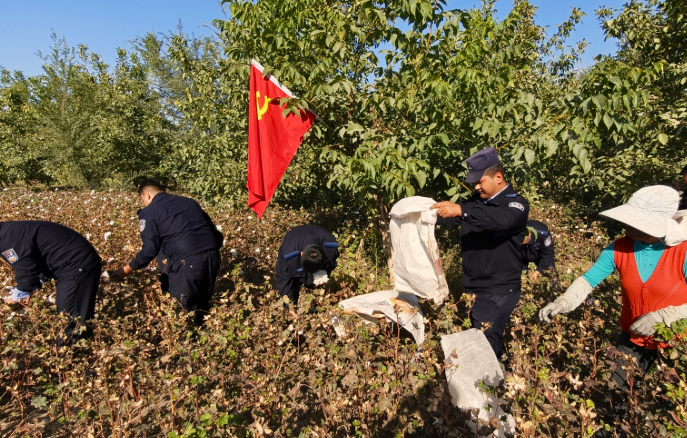 屏幕截图 2026-10-13 220516.png